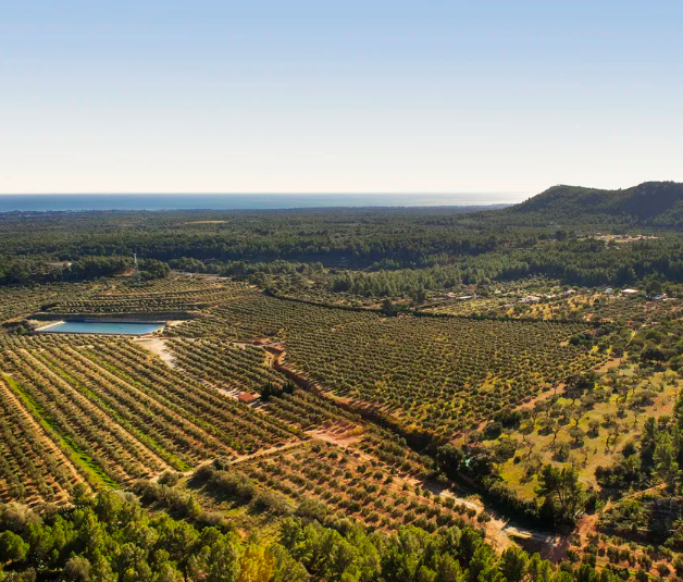 1613625308734084293.png 1613625308734084293.png