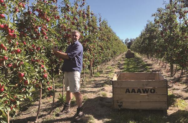 1615438776056097431.jpg 1615438776056097431.jpg