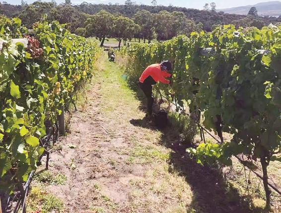 1615439688676032430.jpg 1615439688676032430.jpg