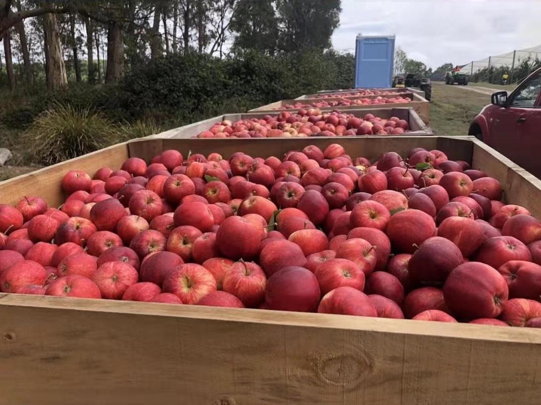 1615440045124064936.jpg 1615440045124064936.jpg