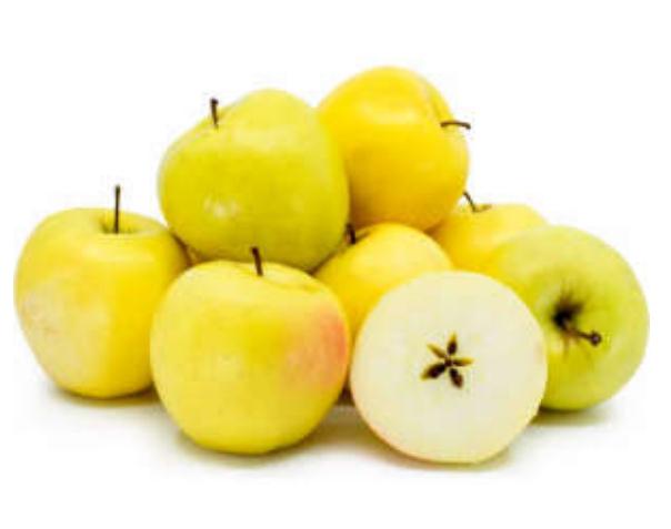 1615440096741002828.jpg 1615440096741002828.jpg