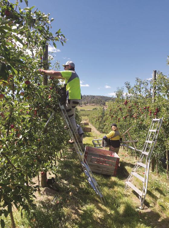 1615440520463084716.jpg 1615440520463084716.jpg