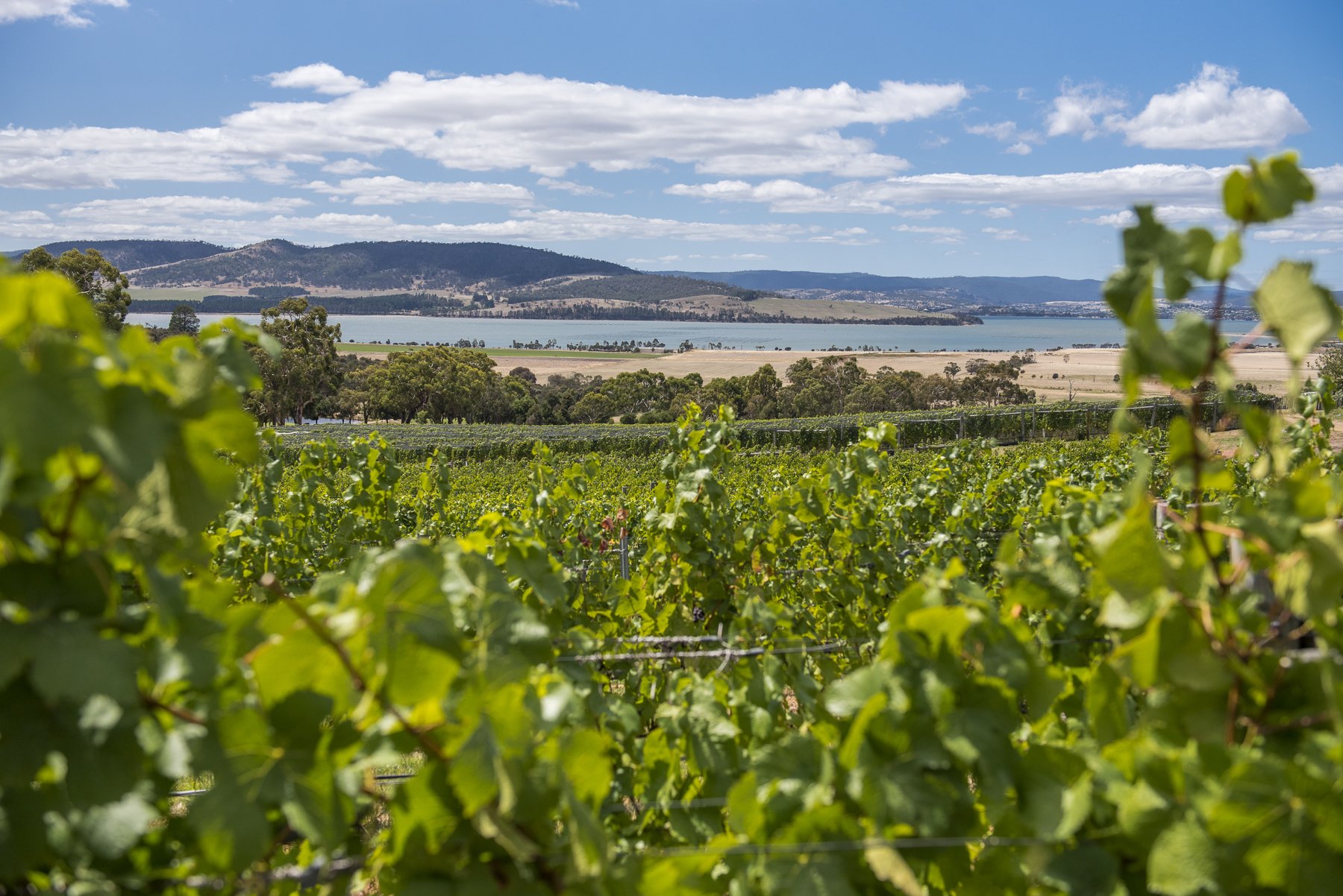 1616646174081016263.jpg 1616646174081016263.jpg