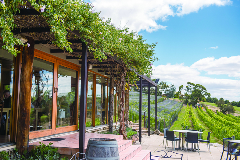 1616646503395092776.jpg 1616646503395092776.jpg