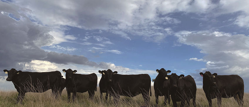 1616647266991036927.png 1616647266991036927.png