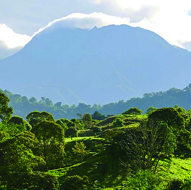 1617845148351023856.jpg 1617845148351023856.jpg