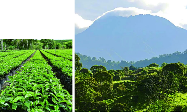 1617845397944078021.png 1617845397944078021.png