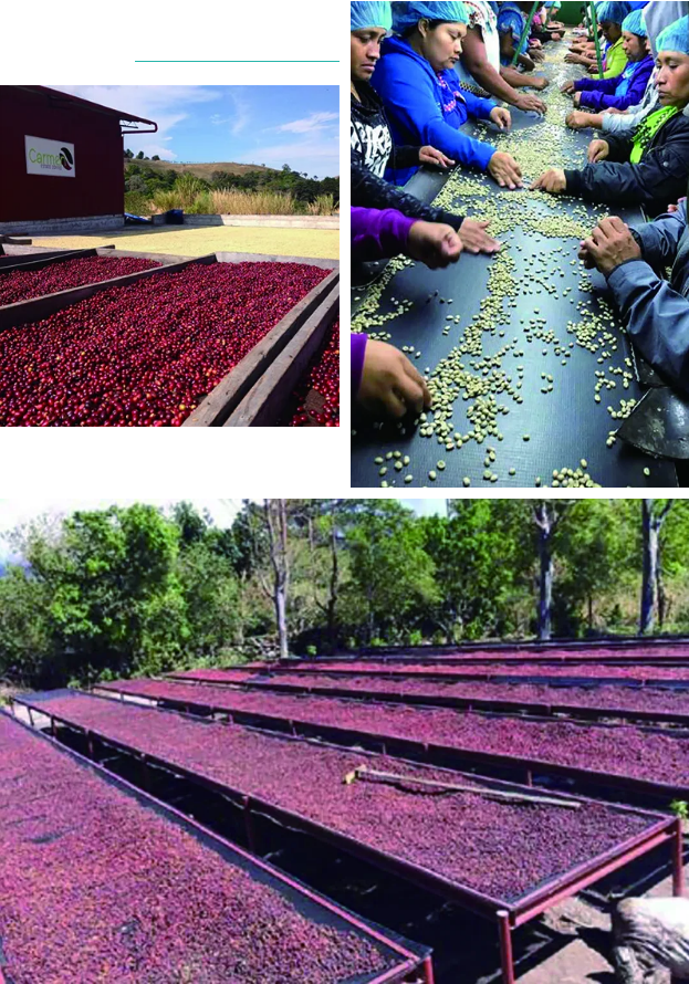 1617845717666003570.png 1617845717666003570.png