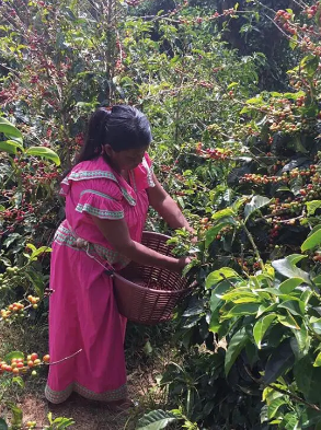 1617846465556004463.png image.png