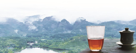 1624502867078057384.png image.png